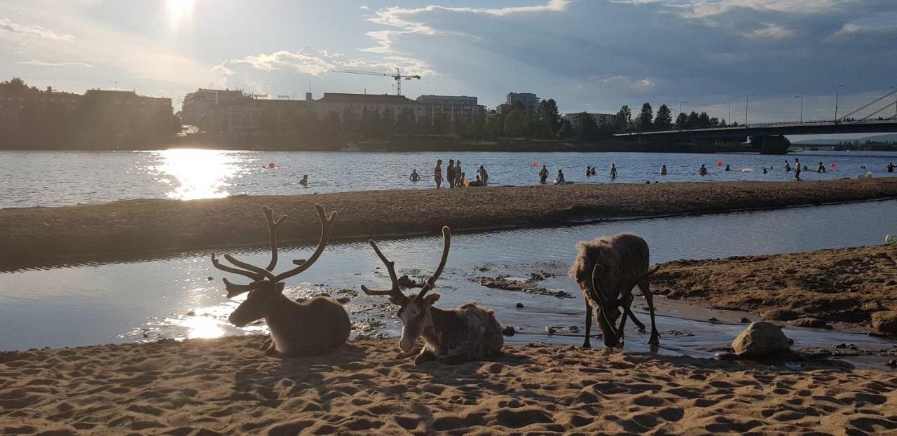 Kismet Apartment Rovaniemi Ngoại thất bức ảnh